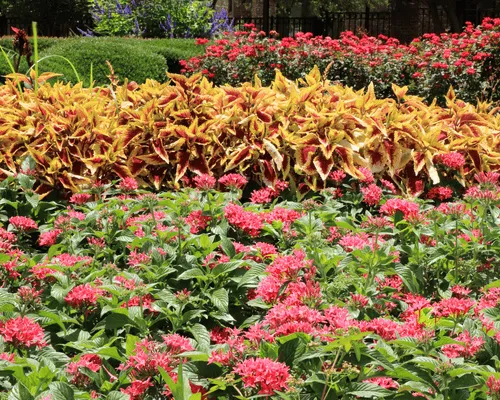  Landscape Installation