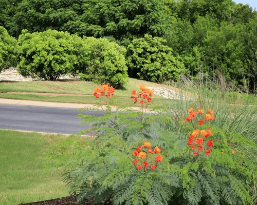 Retaining Walls Austin, TX