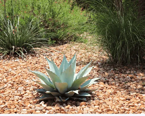 Outdoor Kitchens Austin, TX