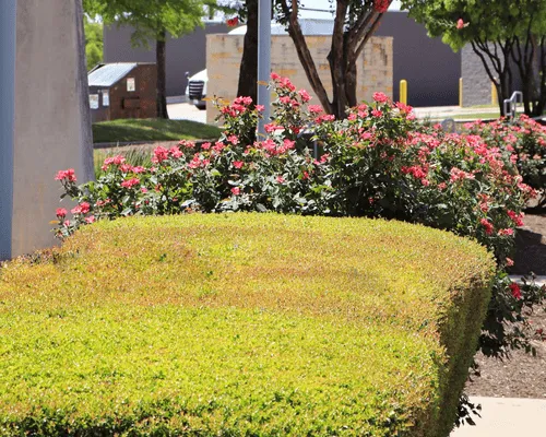 Retaining Walls Austin, TX