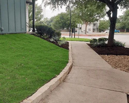 Limestone Border Beds in Austin, TX