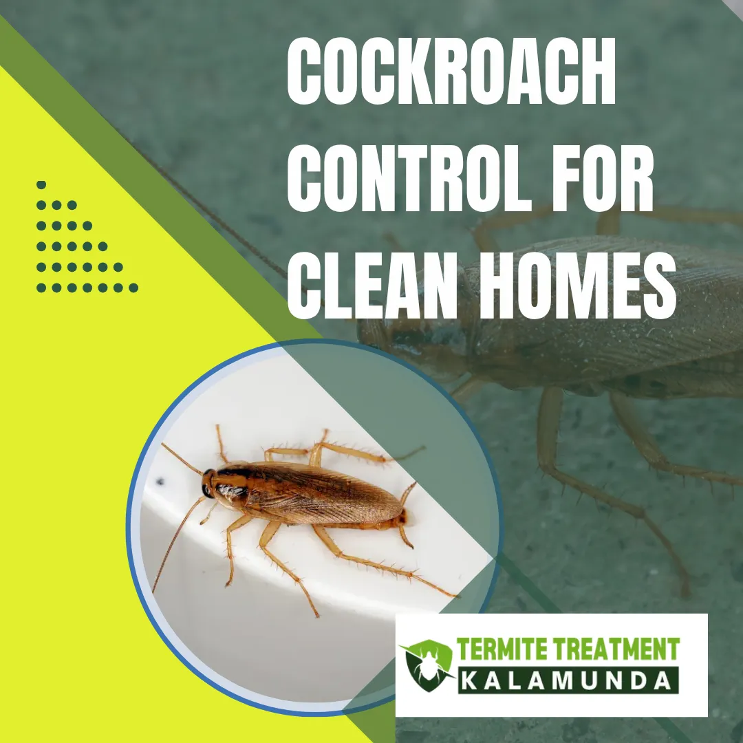 Cockroach control service