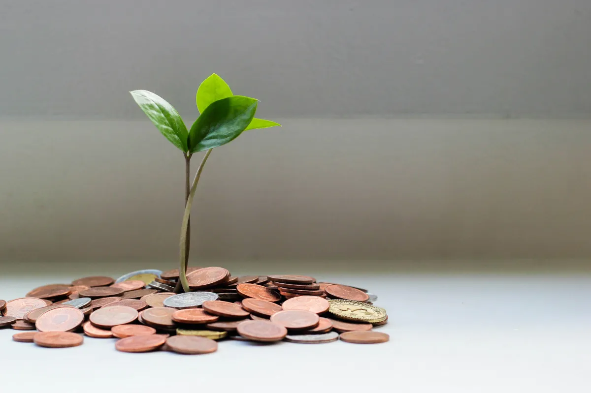 Build the Bag: Investment Basics Made Simple