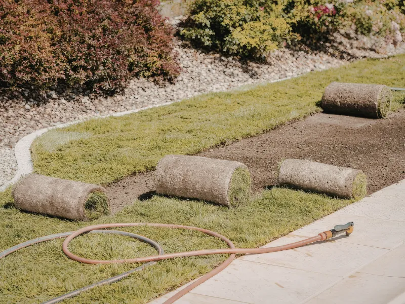 Fresh sod installation in Riverside Iowa creating a full healthy lawn for a residential property