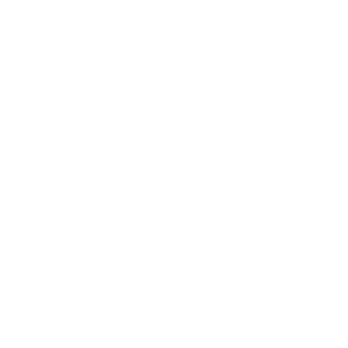 Icon of a person holding a megaphone with marketing symbols, representing done-for-you marketing services.