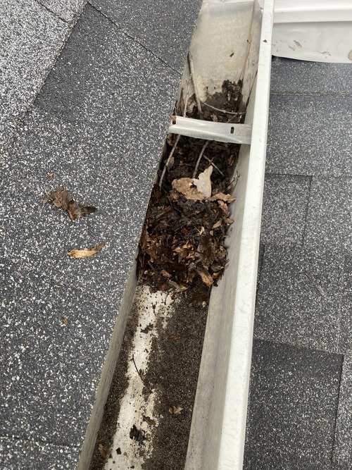 Portland, TN Gutter Cleaning