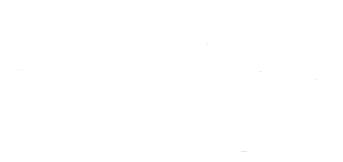 White cursive signature of Baz Porter on a black background — elegant, personal brand mark symbolizing transformation, legacy, and leadership coaching authority.