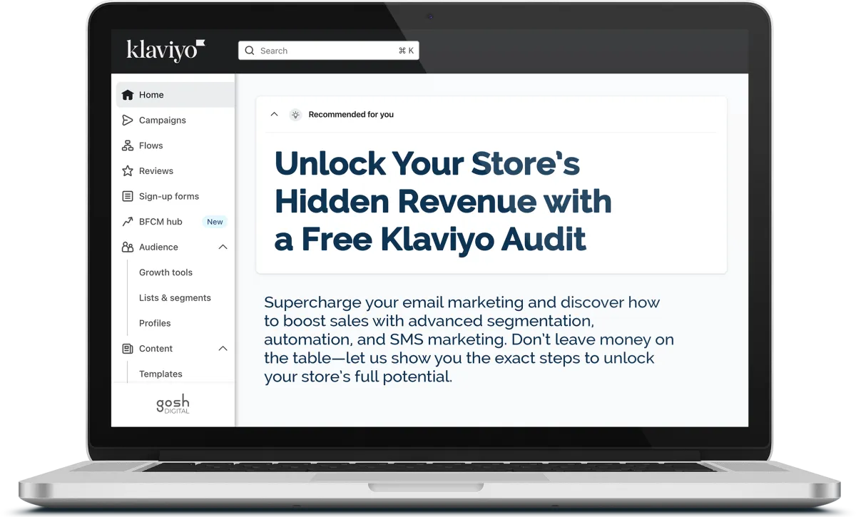 Unlock your store's hidden revenue with a free Klaviyo Audit