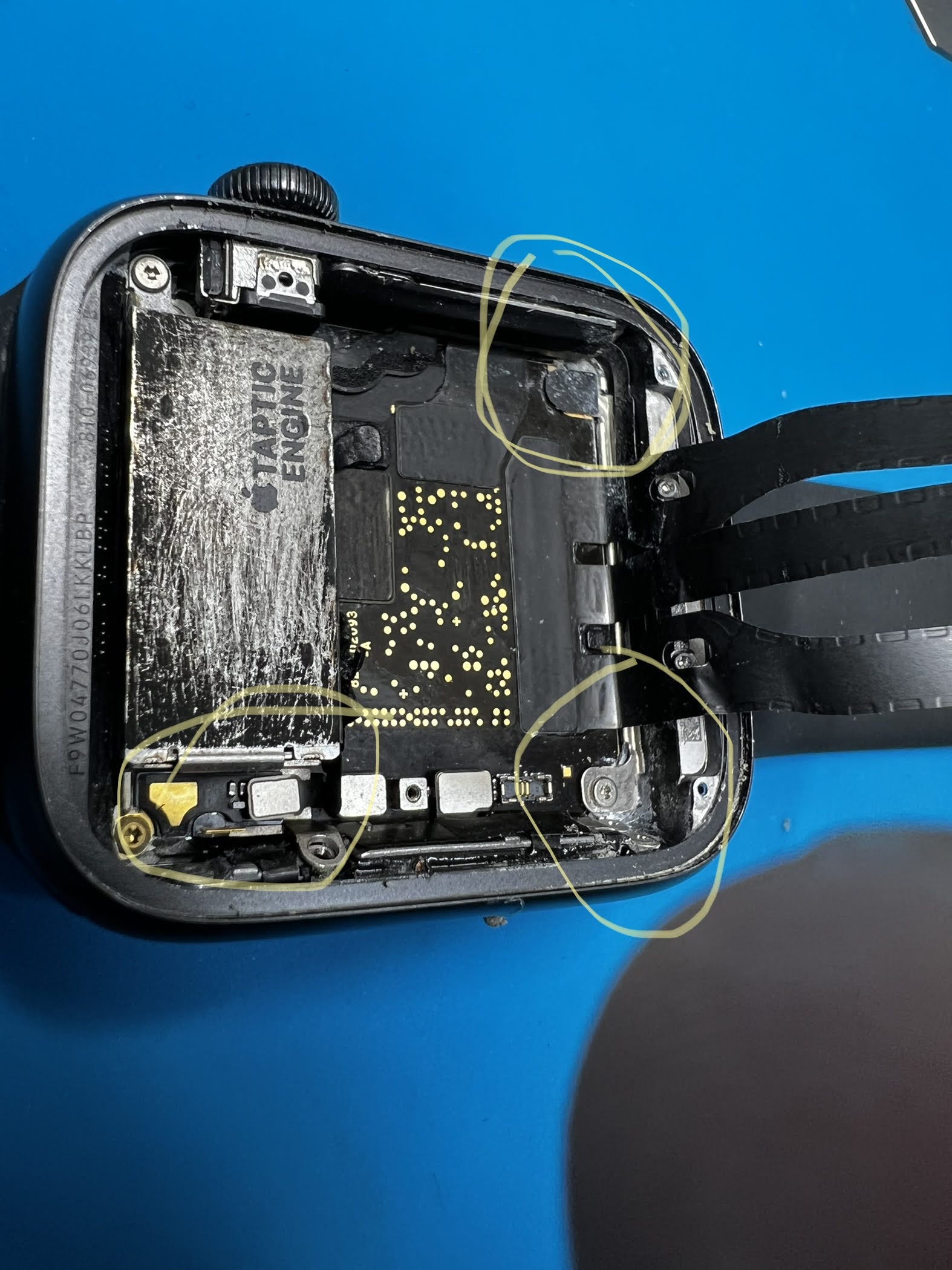 Computer Repairs Davie, FL