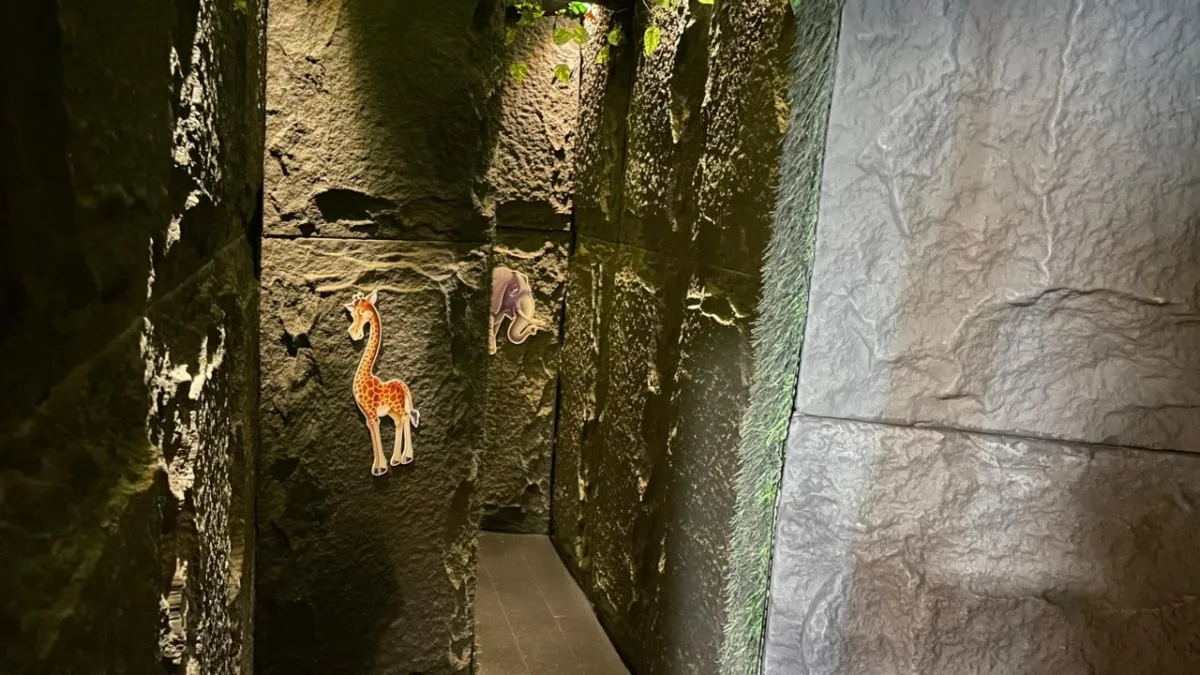 Cave entry in wild wonders