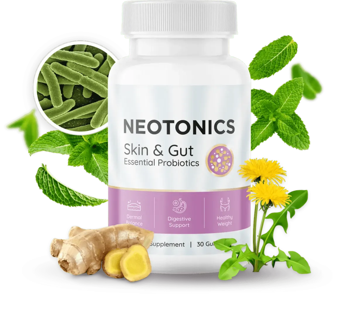 Neotonics  Probiotic Supplement