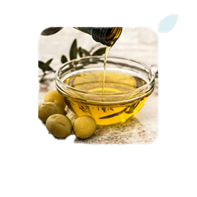 Olive Oil Leaf Extract 