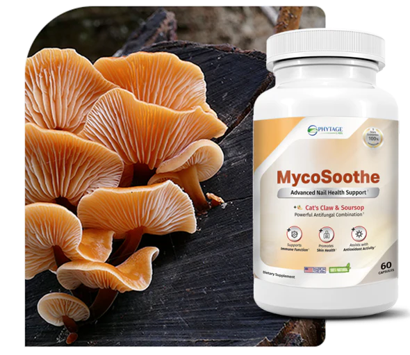 MycoSoothe fungus support