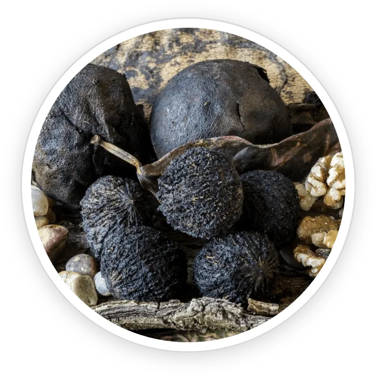 Black Walnuts