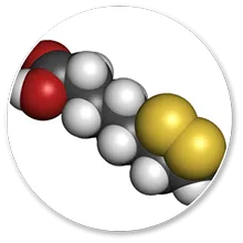 Alpha Lipoic Acid