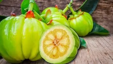 Kerala Garcinia Cambogia