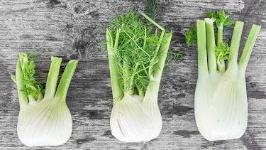 Fennel Fruit 