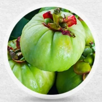 Garcinia-Cambogia