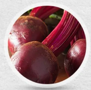 Beet root