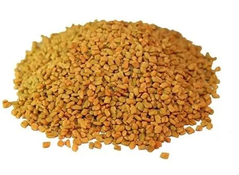 Fenugreek