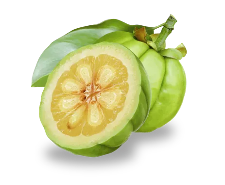 Garcinia Cambogia