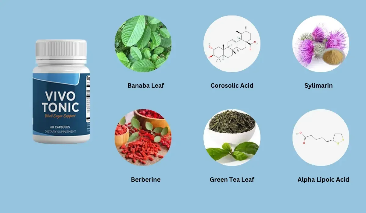 vivo-tonic-supplement-ingredients