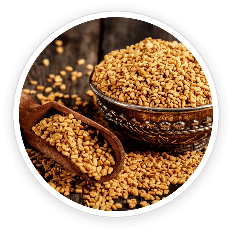 Fenugreek