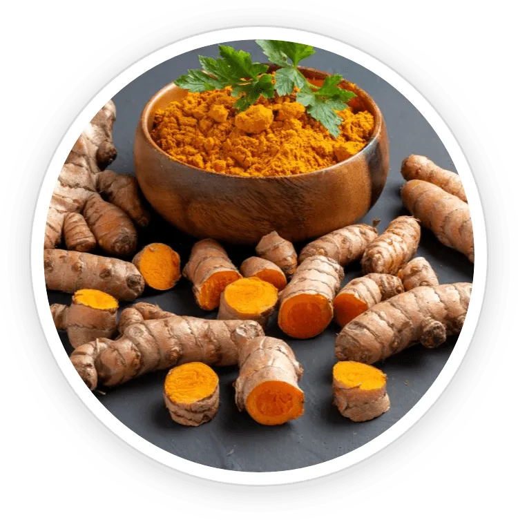 Turmeric