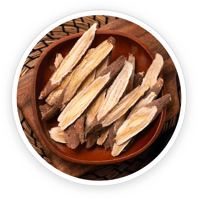 Astragalus Root