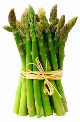 Asparagus