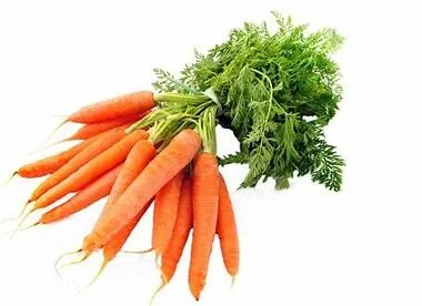 Carrot