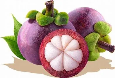 Mangosteen Extract