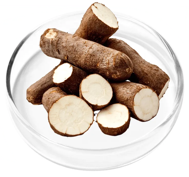 Wild Yam
