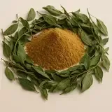 Gymnema Leaf Extract