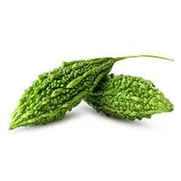 Bitter Melon