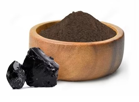 Shilajit Extract