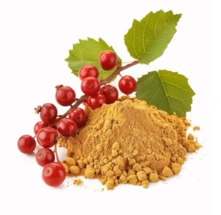 Schisandra Fruit Extract