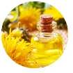 Dandelion Root Extract