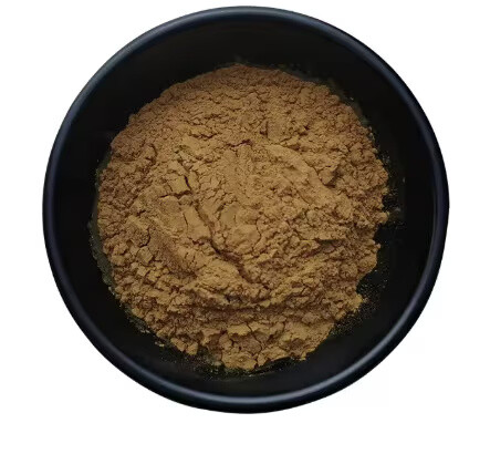 Magnolia Extract