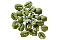 Green Coffee Bean Extract