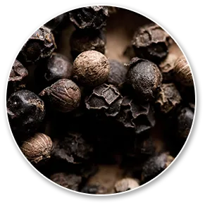 Bioperine (Piperine)