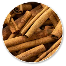 Cassia Cinnamon Bark (Cinnamomum aromaticum)