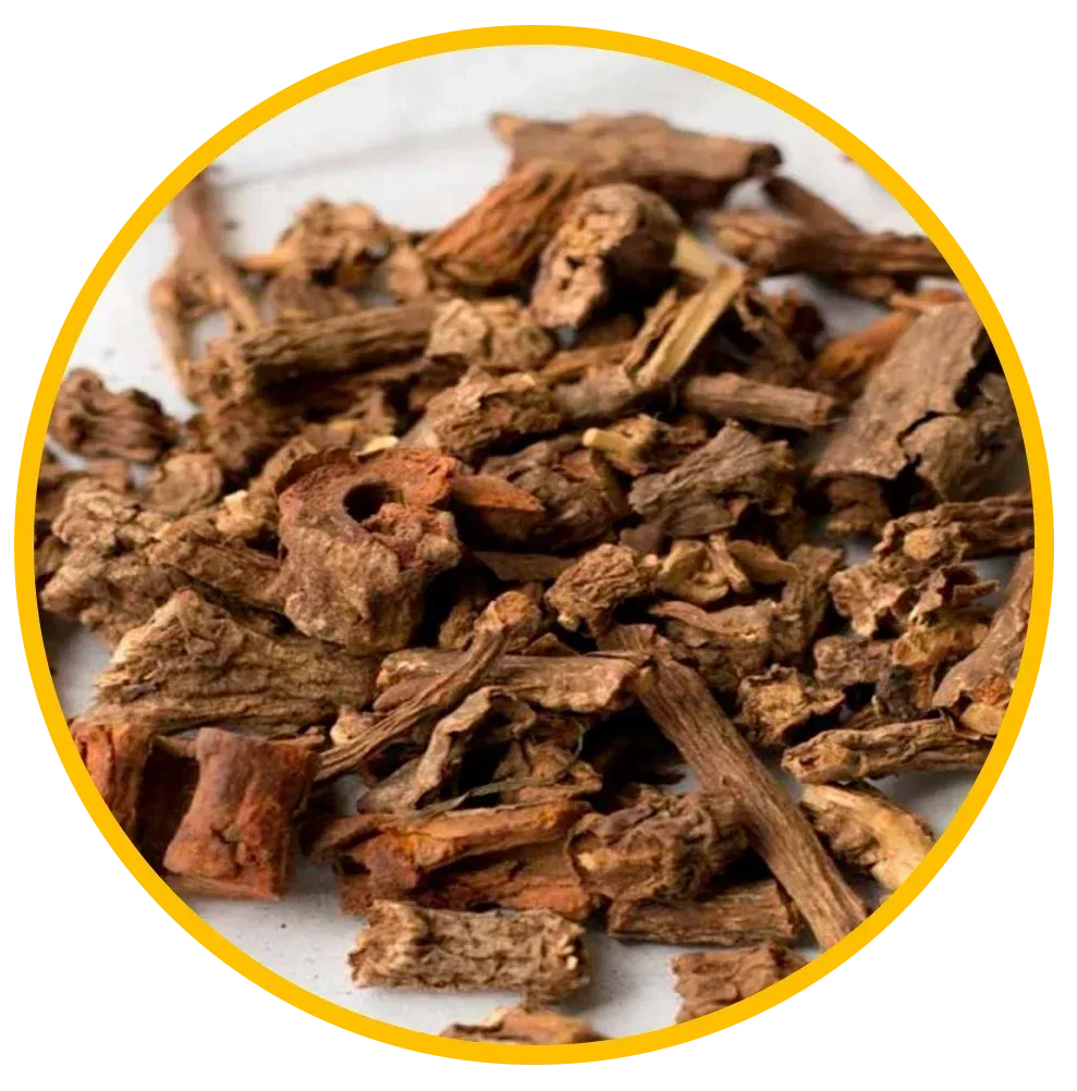 Sarsaparilla Root Extract
