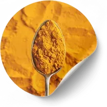 Turmeric (Curcuma longa)