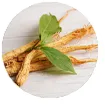 Panax Ginseng