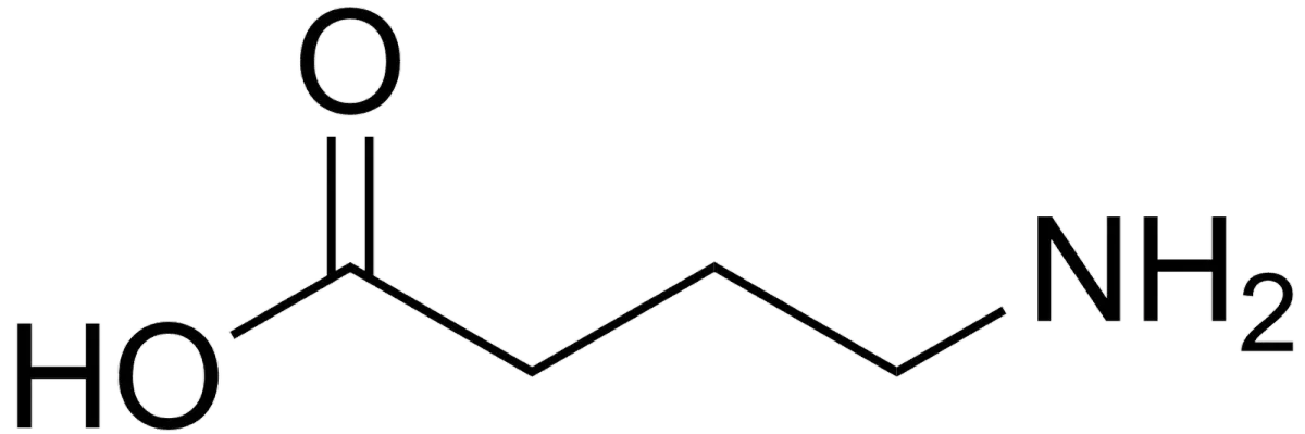 Vinpocetine & GABA