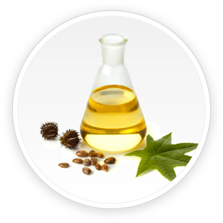 Undecylenic Acid