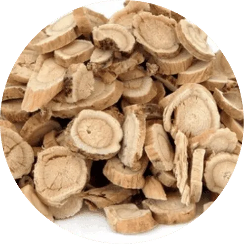 Astragalus Root Extract
