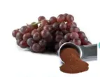 Grape Seed Extract