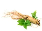 Korean Ginseng